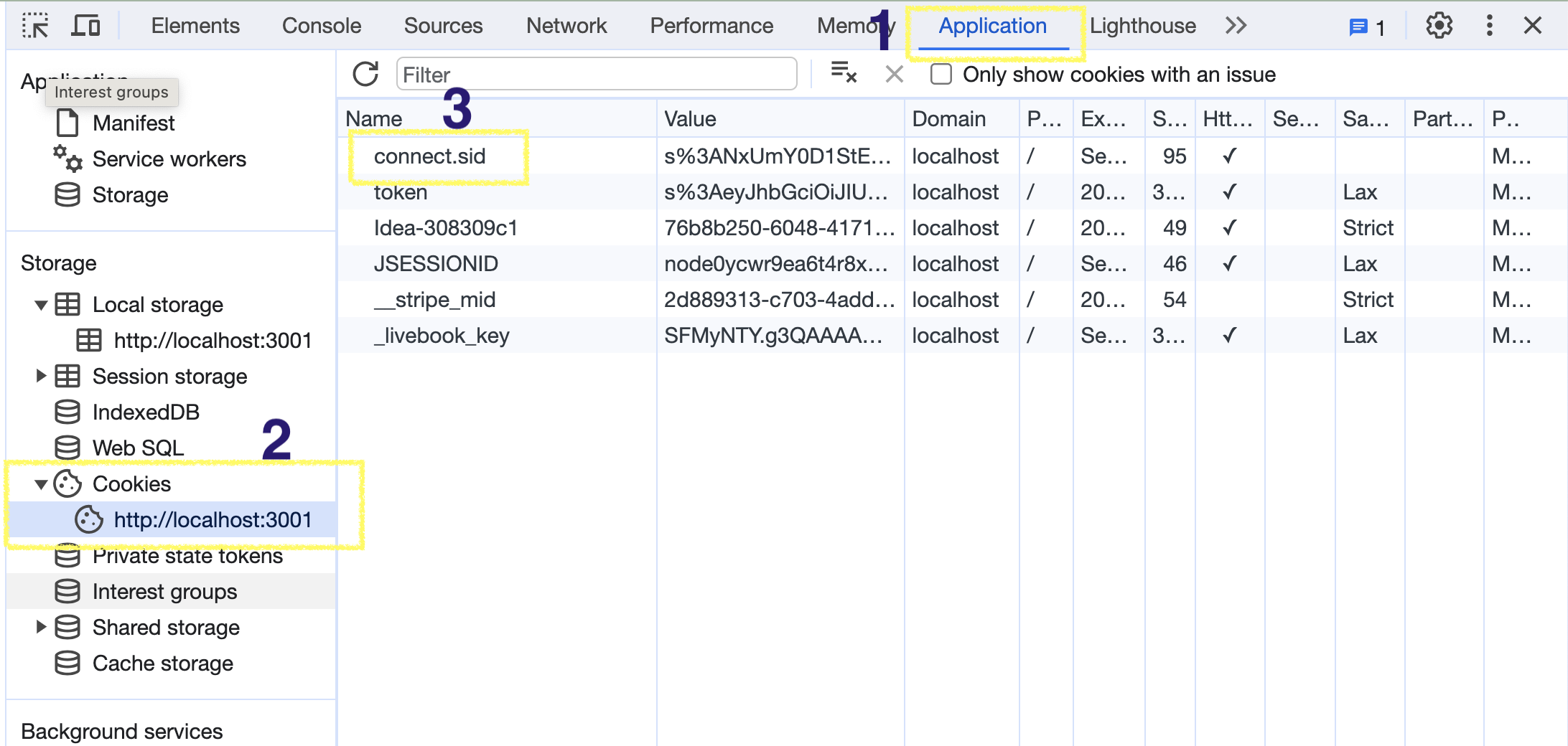 screenshot of Application tab for viewing cookies